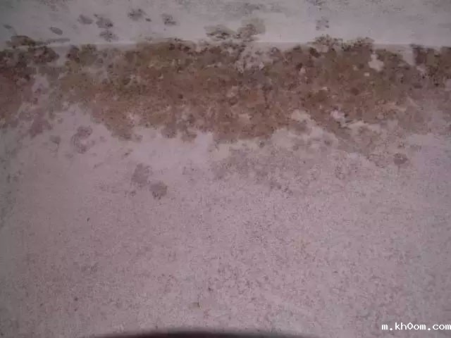 腻子粉的9大常见问题及解决办法